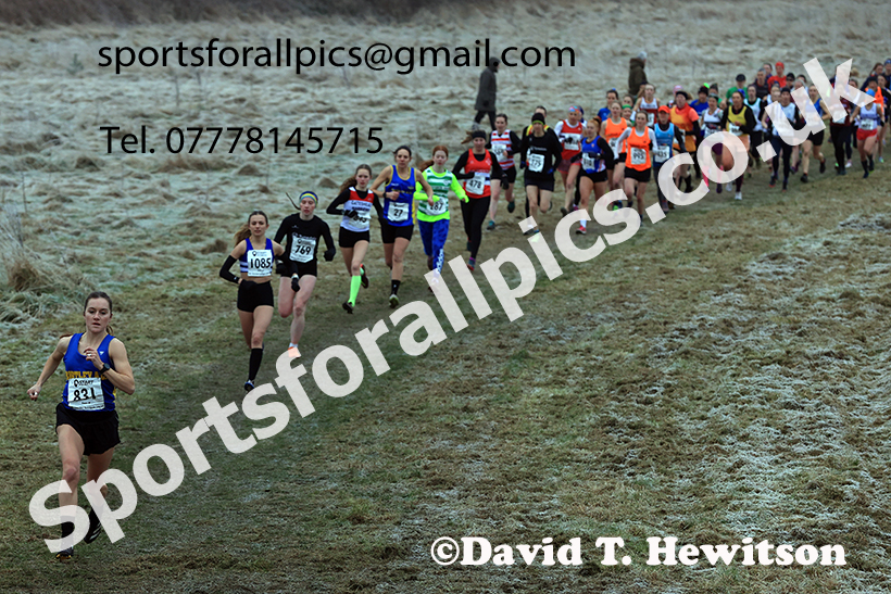 Senior womens 2025 Start Fitness NEHL, Wrekenton, Gateshead. Photo: David T. Hewitson/Sports for All Pics